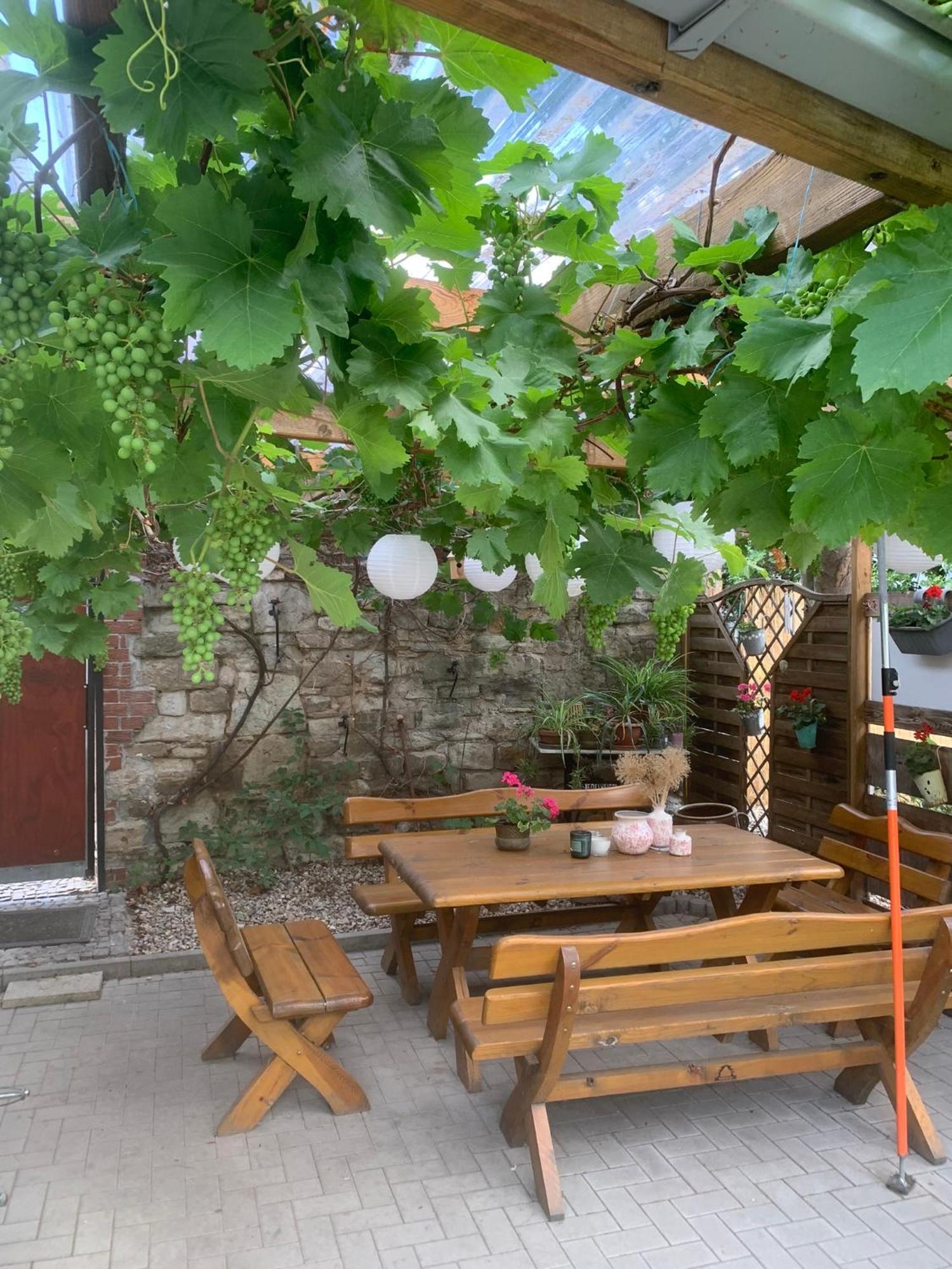 Pension Am Werder ベルンブルク エクステリア 写真